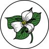 FOGs logo, trillium flower in a circle with white background